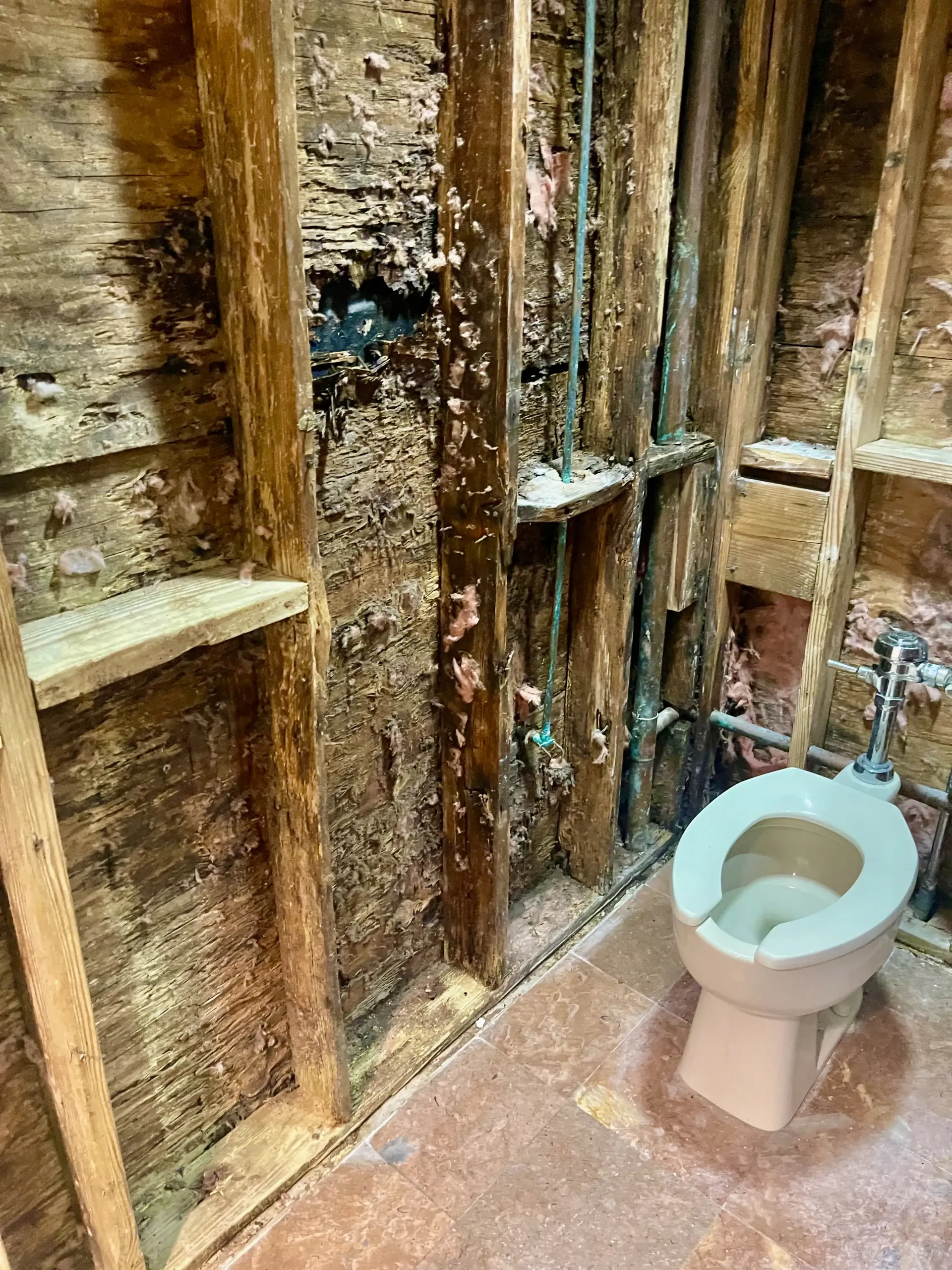 Mold damage in bathroom