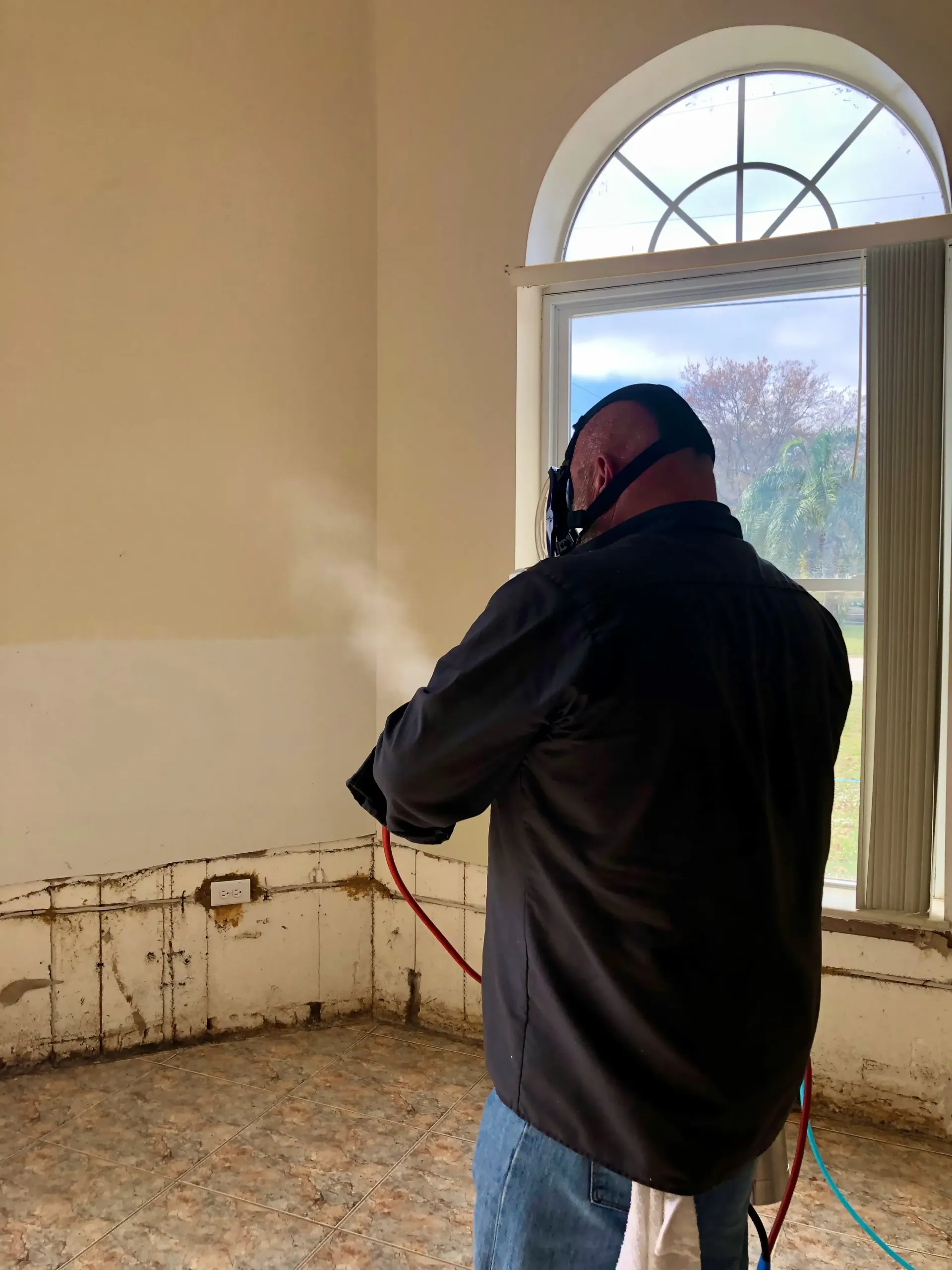 Dry fogging to kill mold