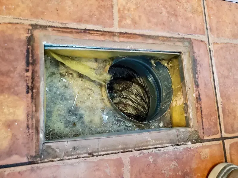 Mold in vents
