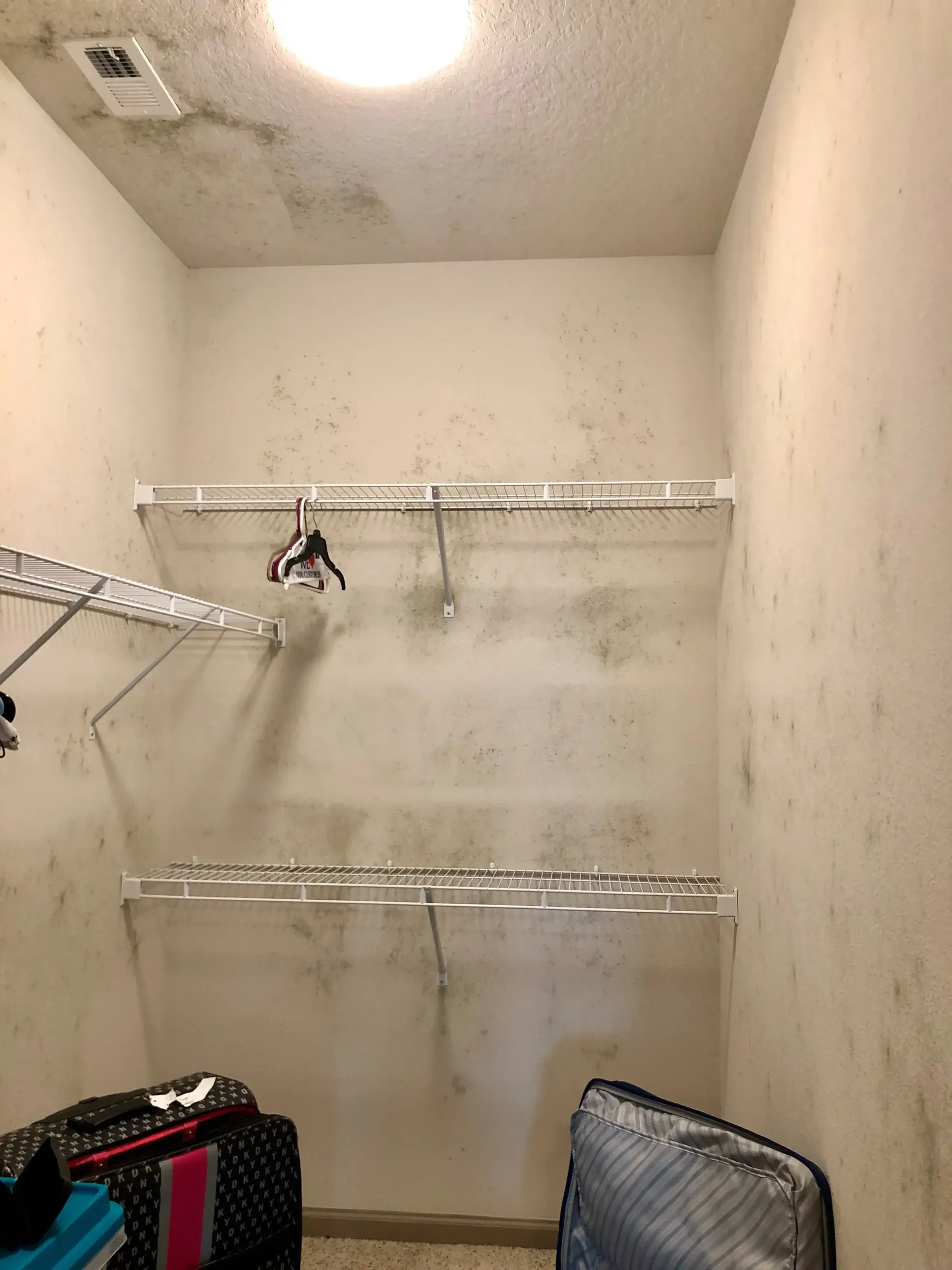 Mold in walk in closet
