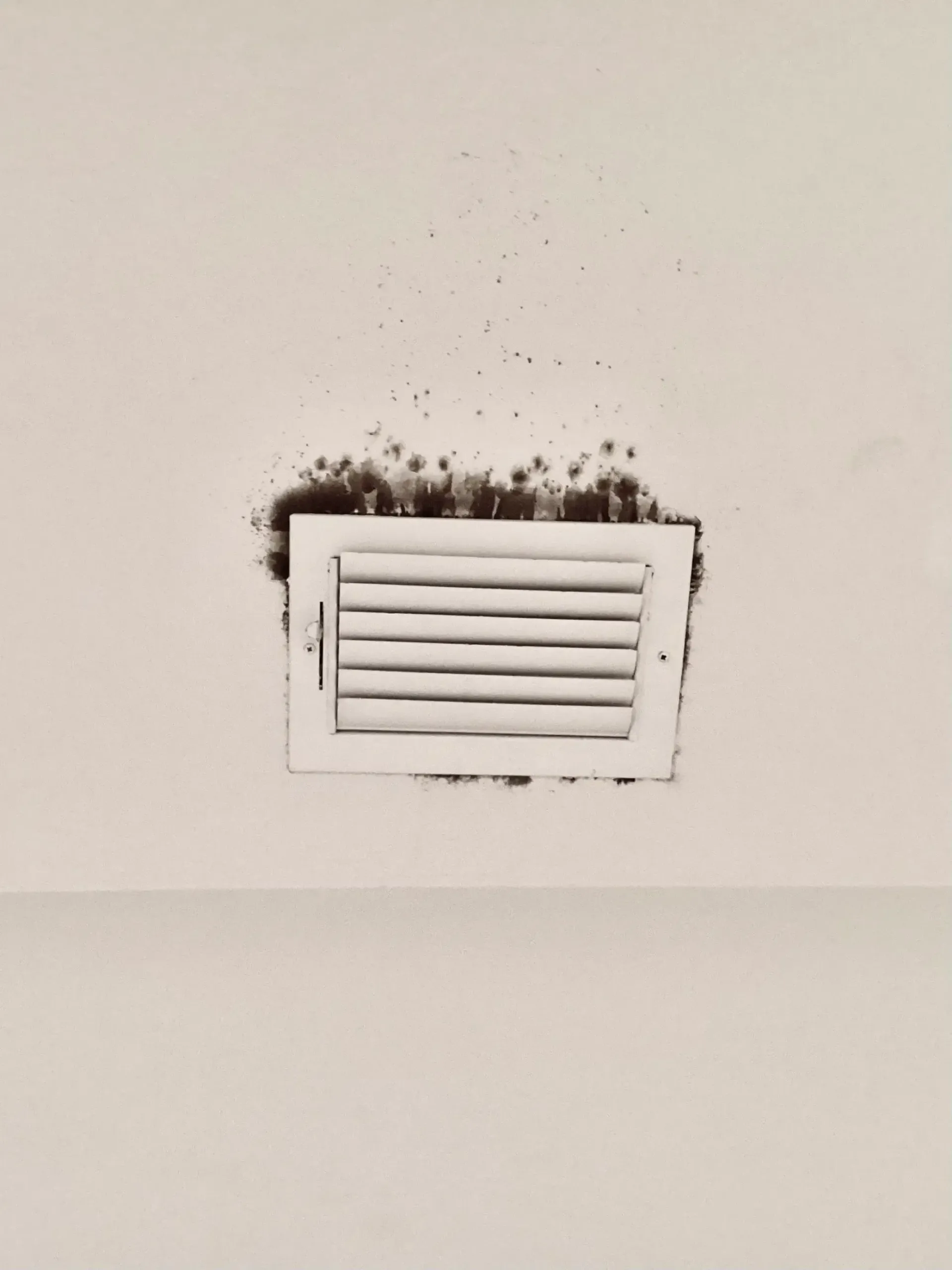 mold coming out of vent