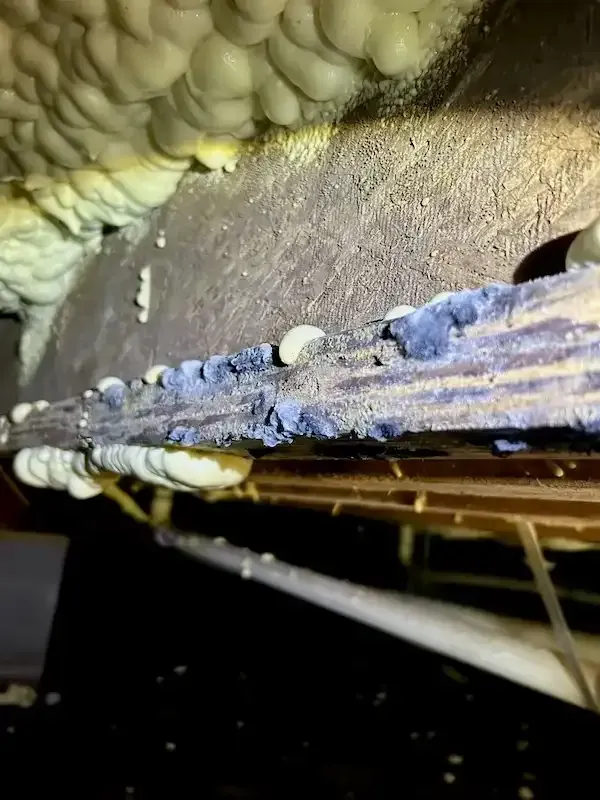Mold on truss