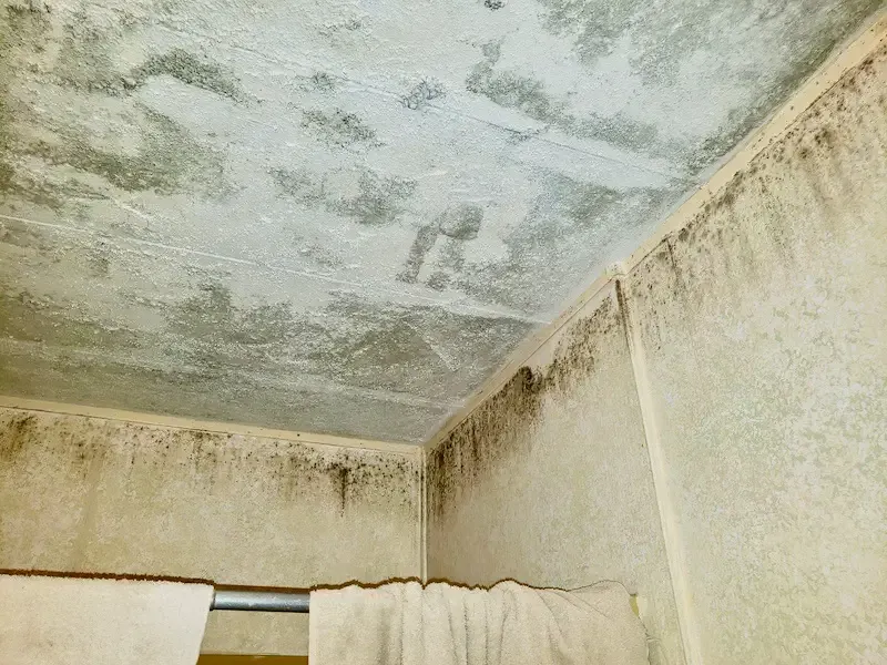 mold on bathroom ceiling