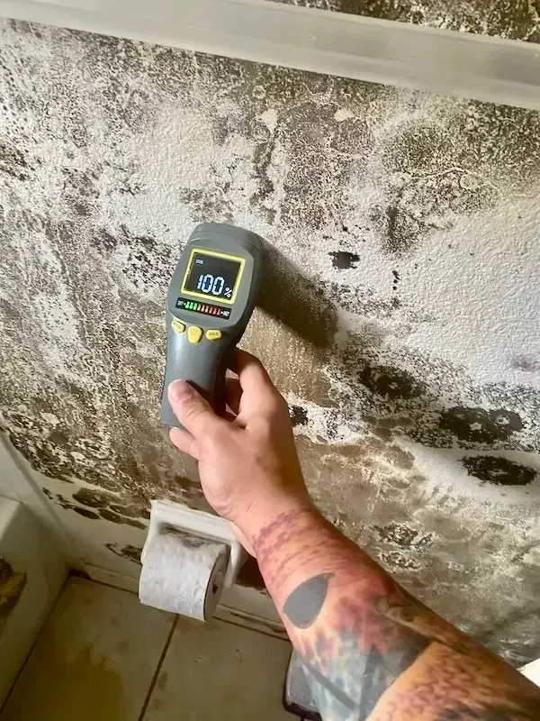 mold growing in bathroom on walls