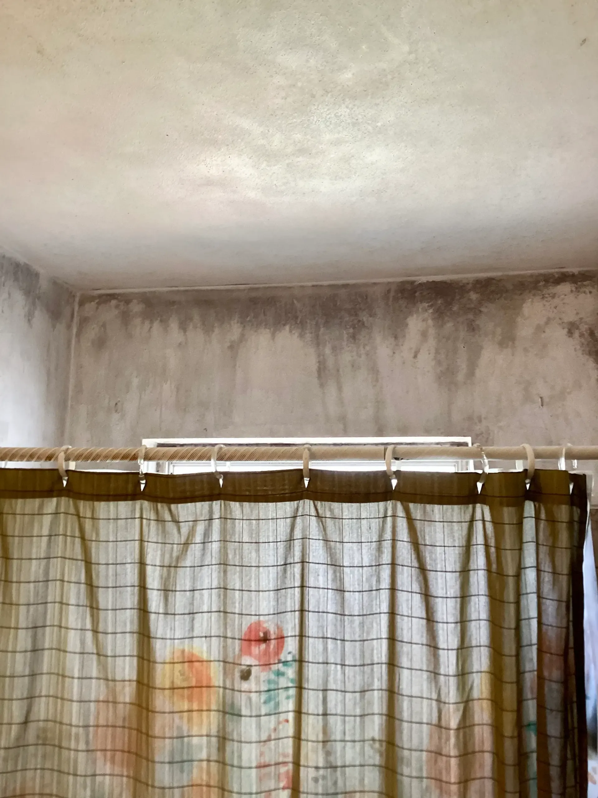 mold growing on bathroom walls