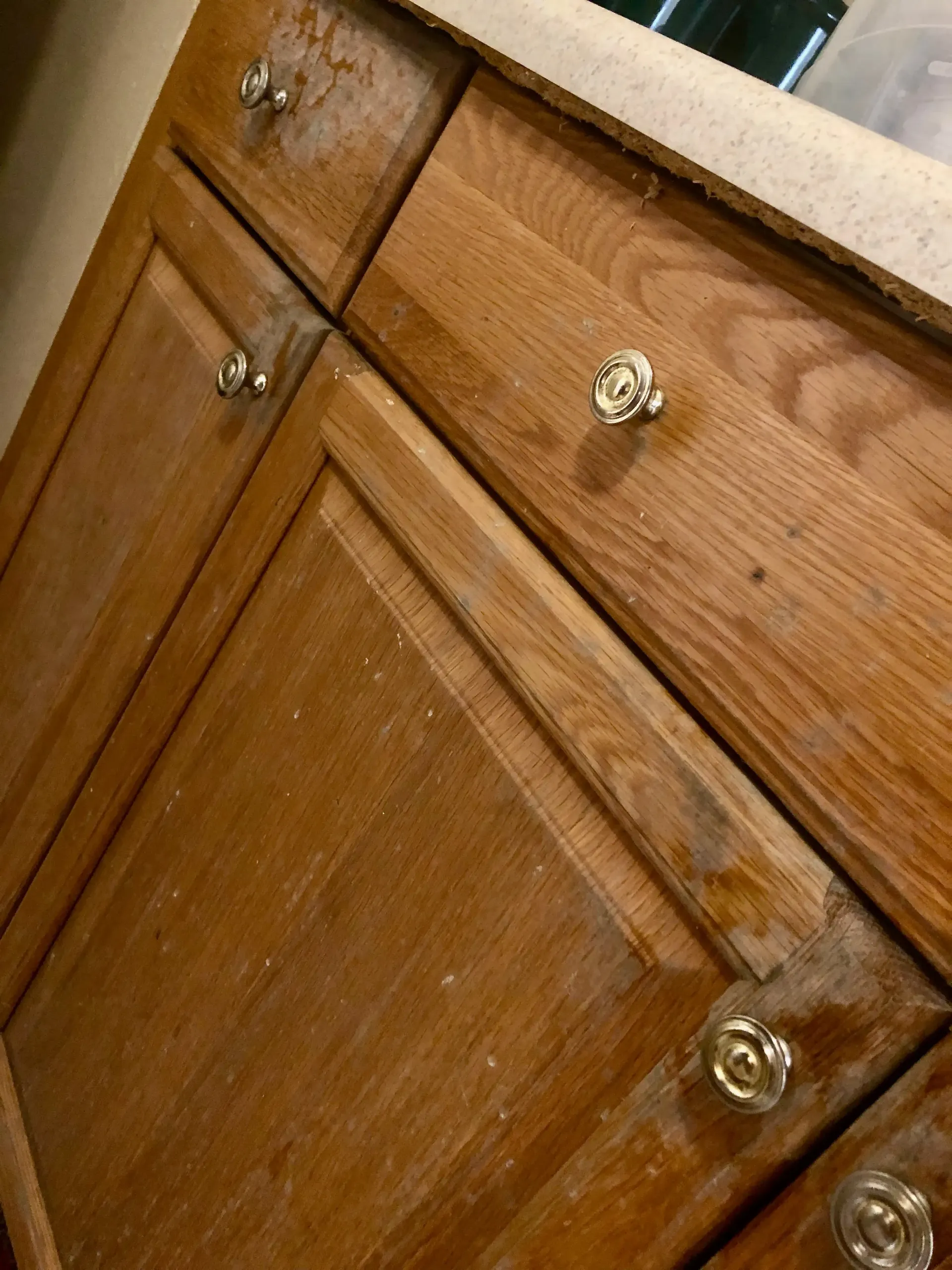 Mold on kitchen cabinets
