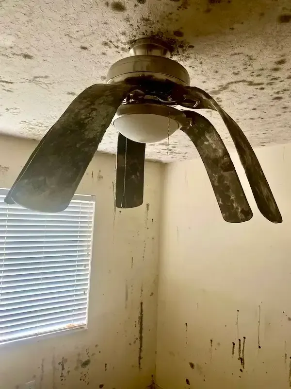 Heat and mold damaged ceiling fan