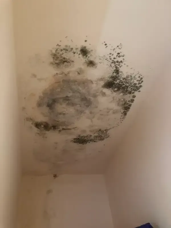 Mold stain on ceiling in closet