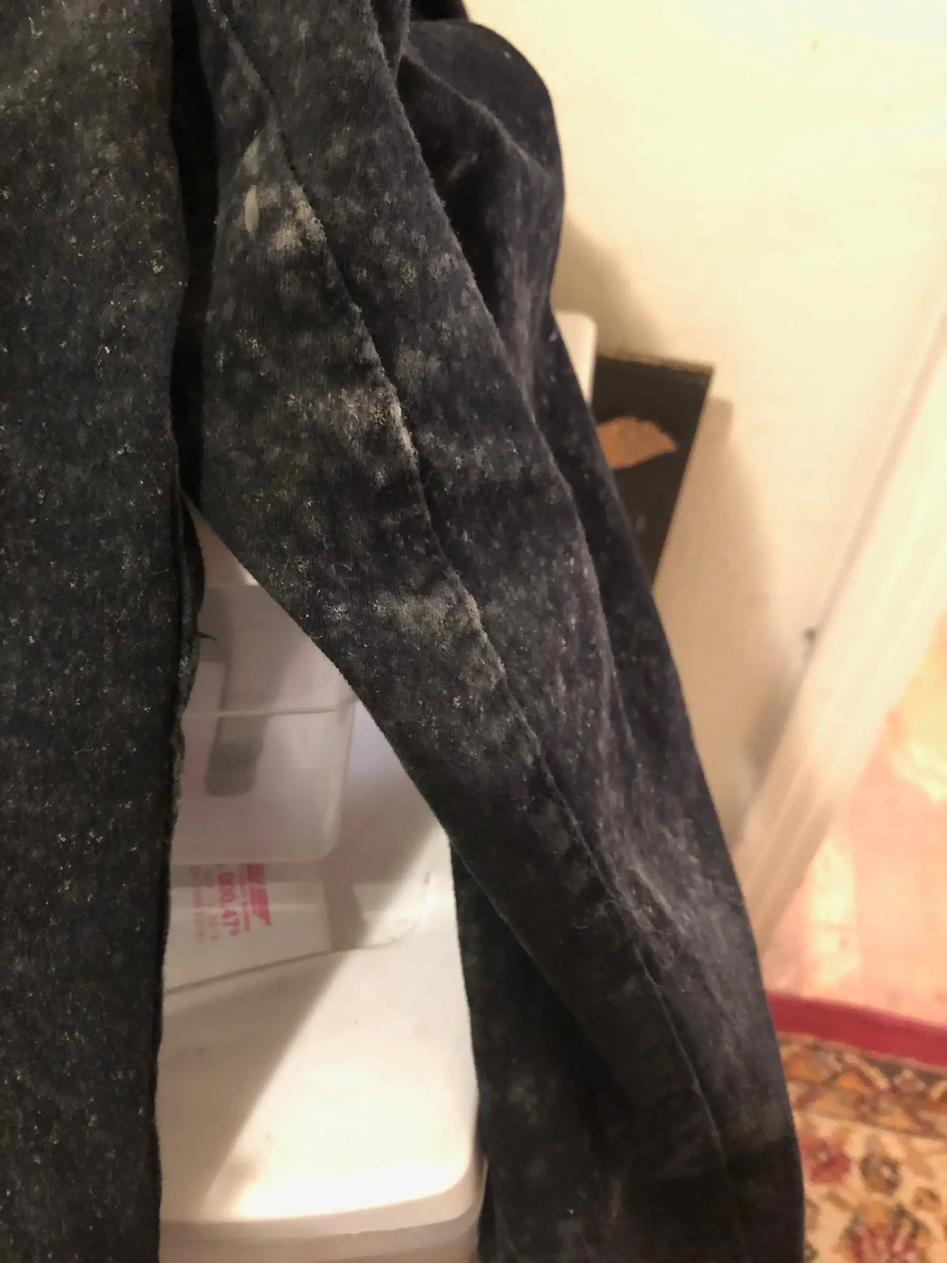 Mold on pants