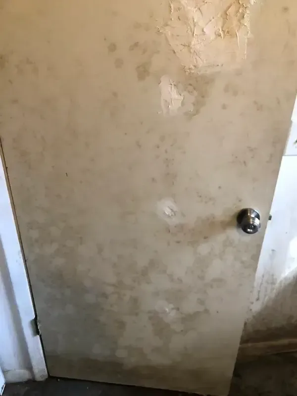 Mold growing on door