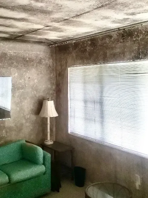 Mold on walls and ceiling