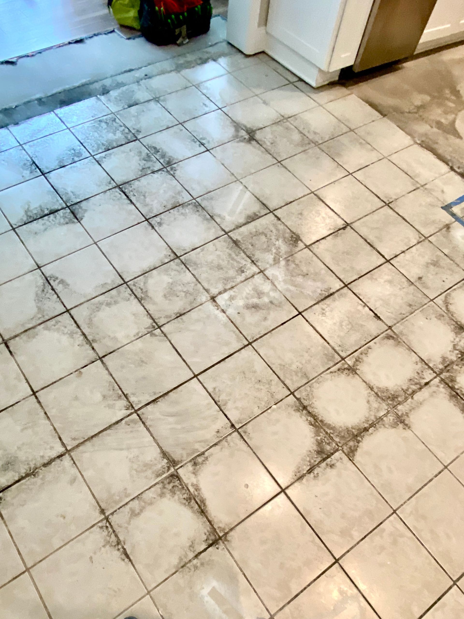Mold on floor tiles