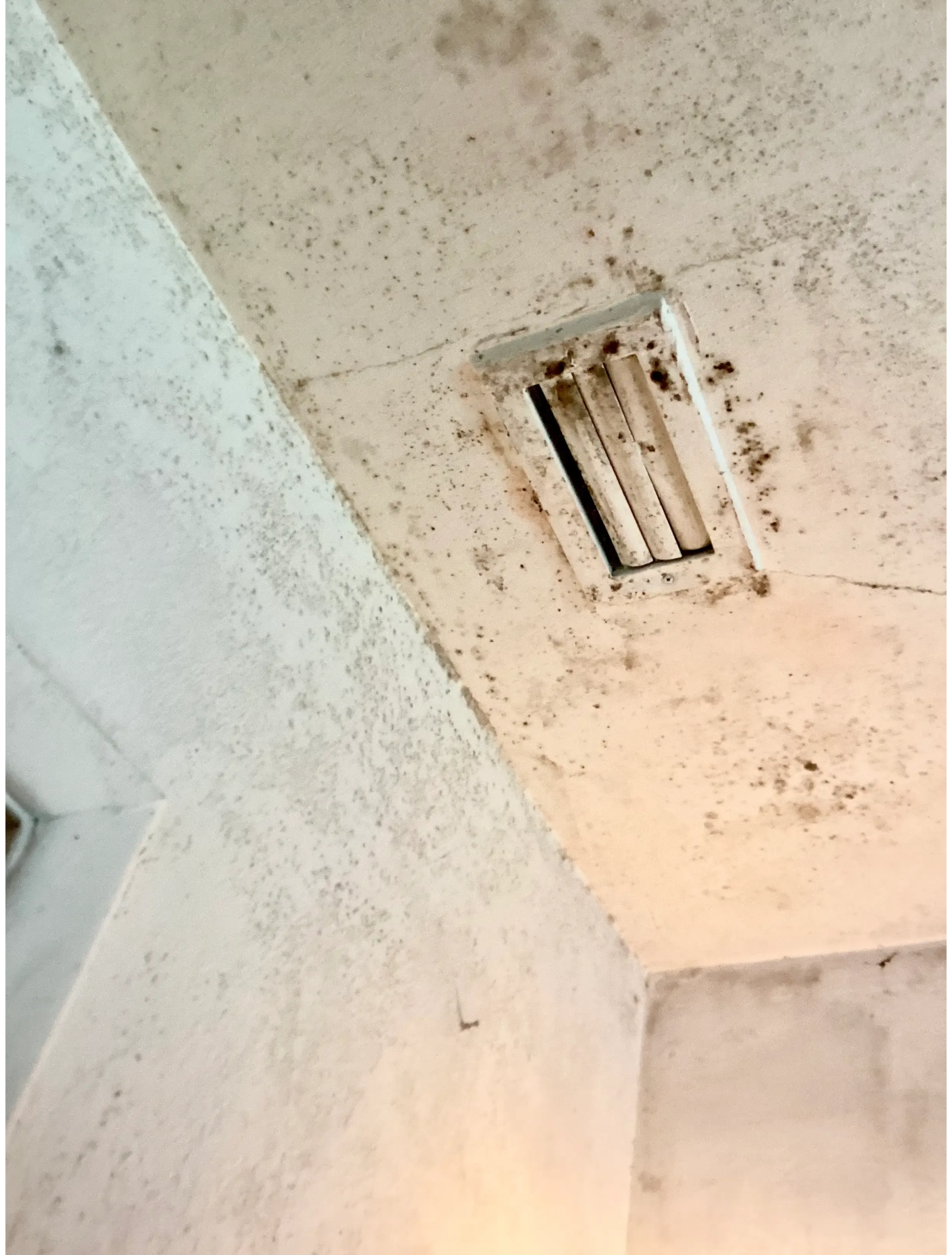 Mold on vent