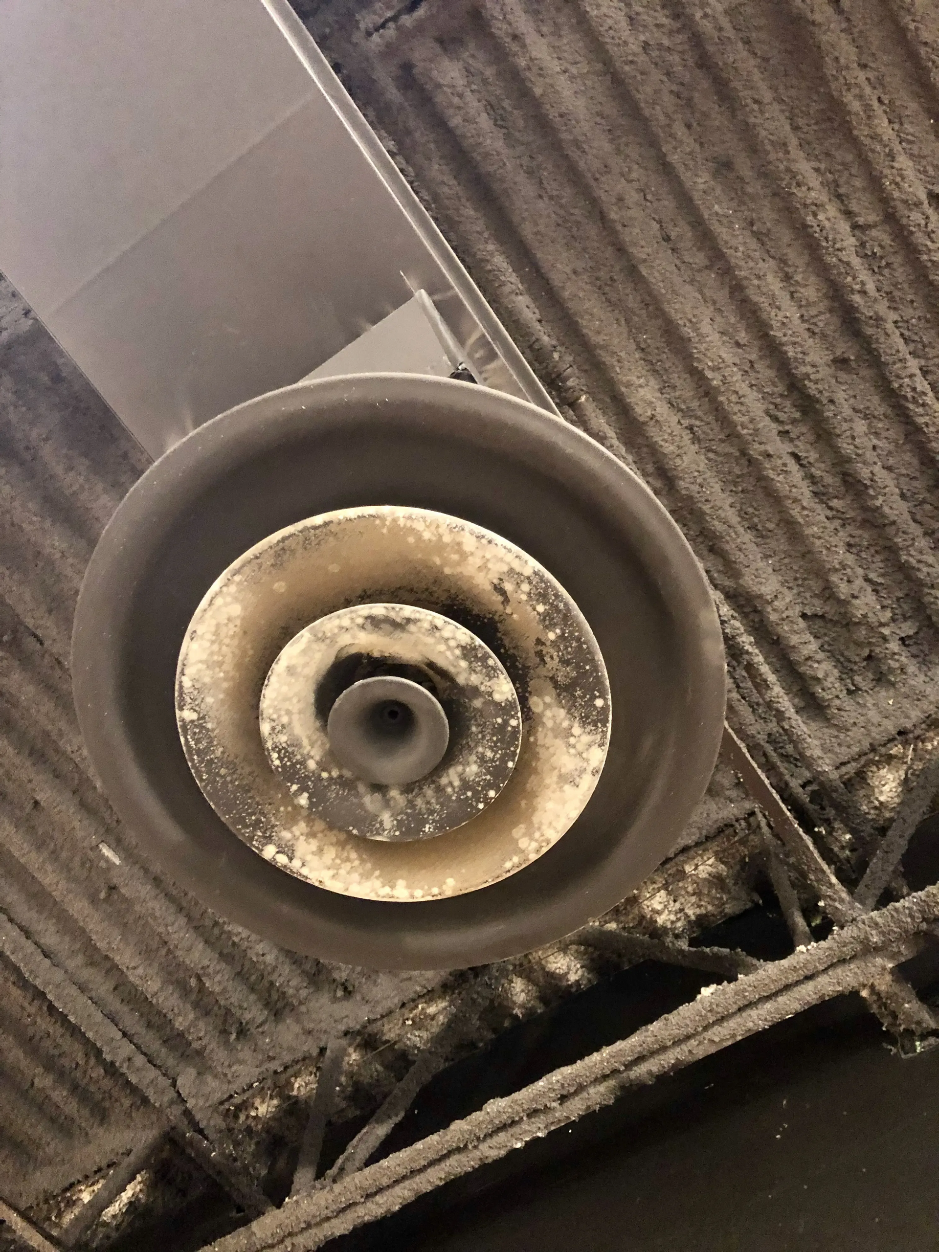 Mold in commercial building on vent