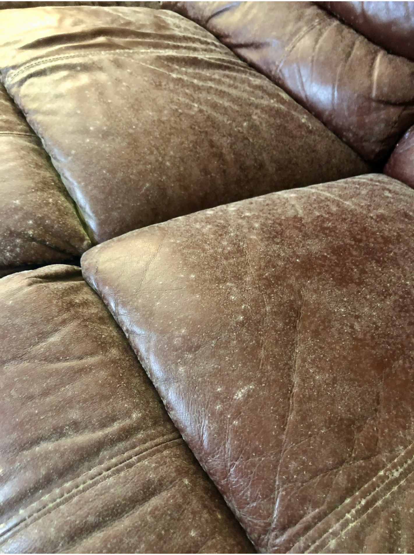 Dusty mold on couch