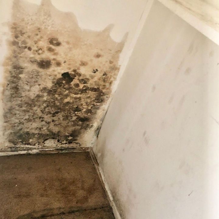 A corner of a room with mold on the wall