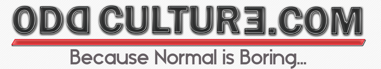 Odd Culture 5 WAYS TO PREVENT MOLD GROWTH IN YOUR HOME