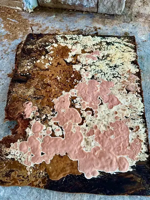 orange mold