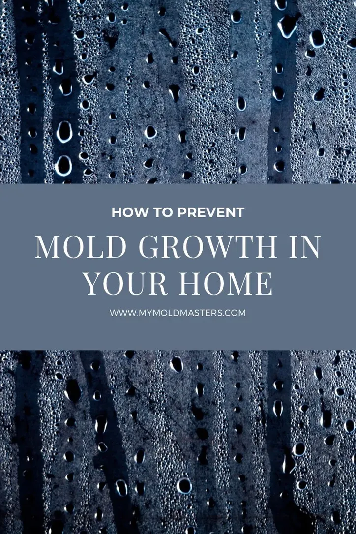 How to Prevent Mold Growth in Your Home.