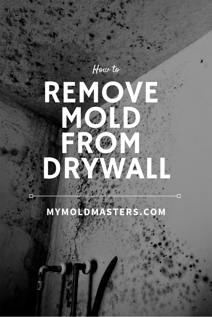 How to remove mold from drywall