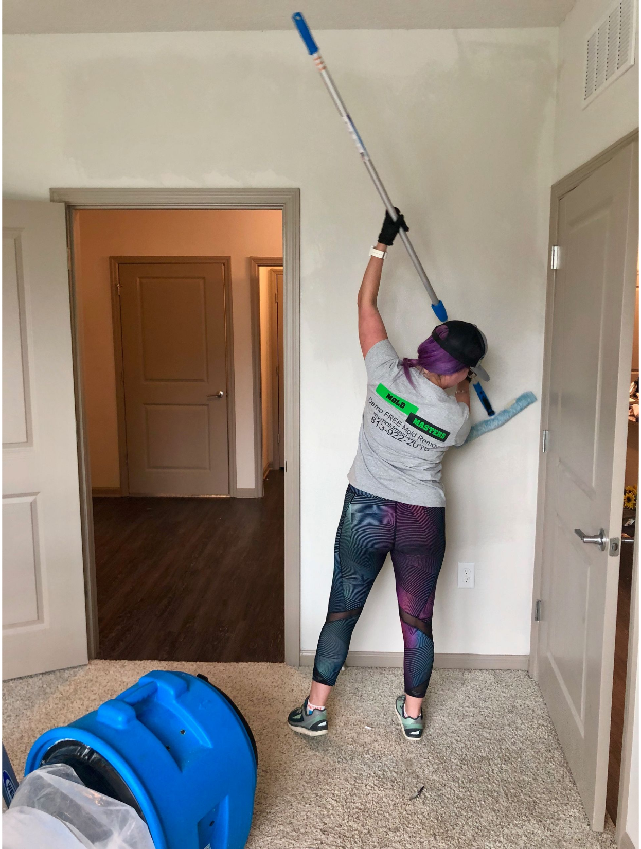Mold Masters residential sanitization