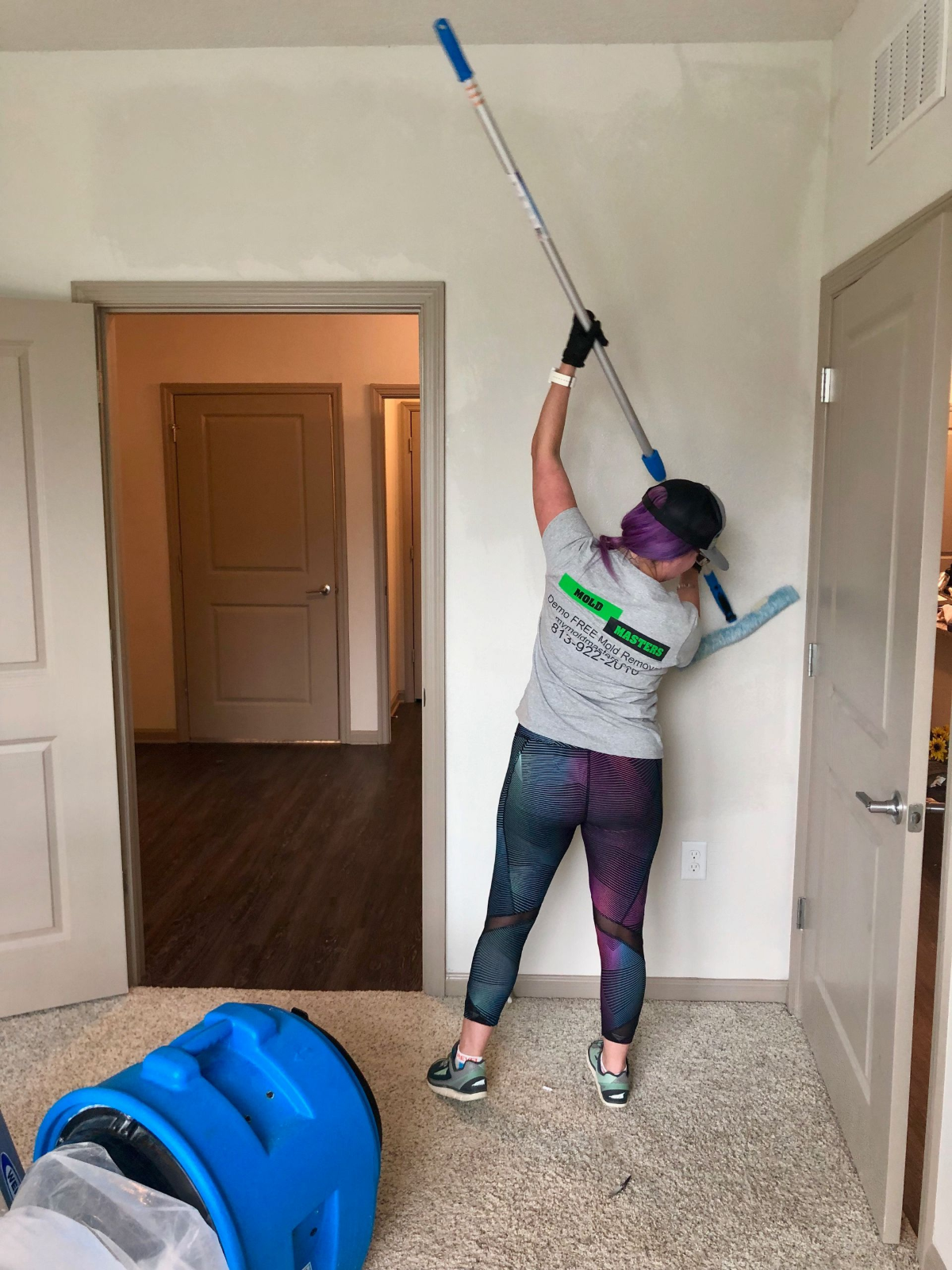 Mold Masters residential sanitization