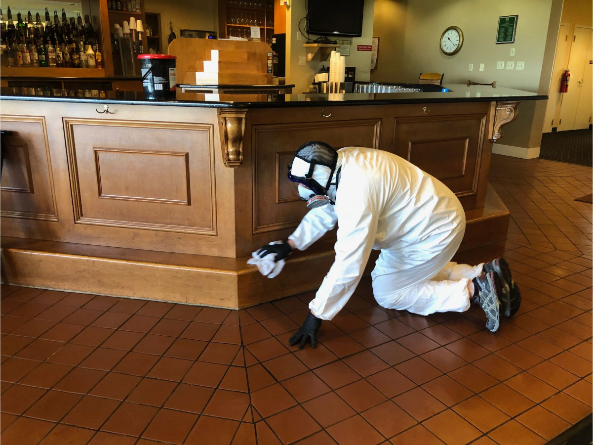 Mold Masters restaurant sanitization