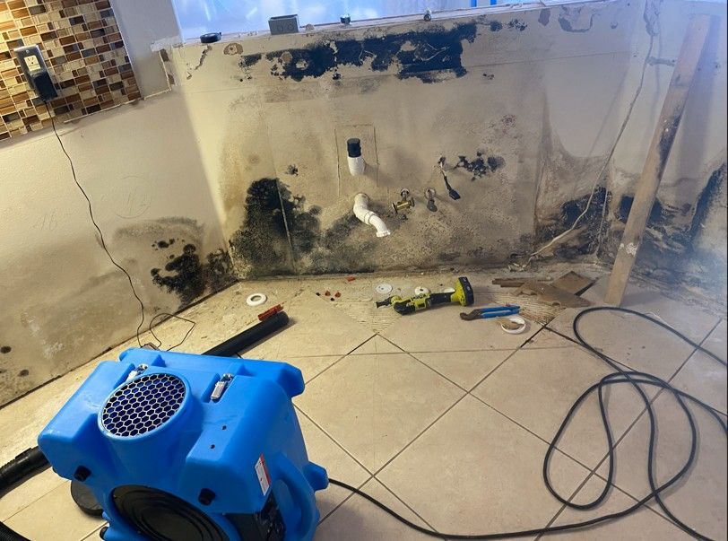 A blue vacuum cleaner is sitting in a room next to a mouldy wall.