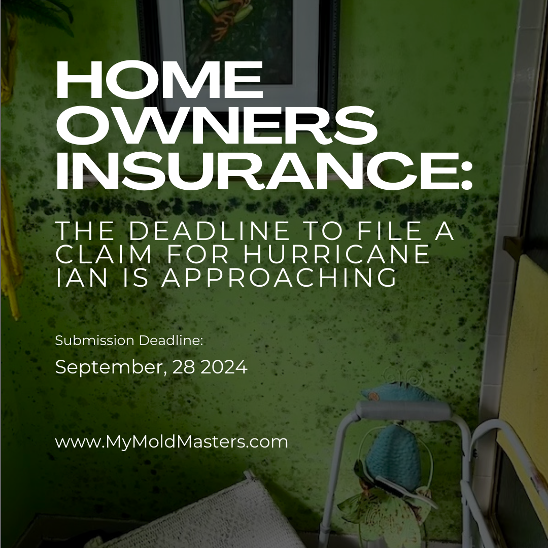 Florida insurance allows up to two years to file a Hurricane claim for Hurricane Ian