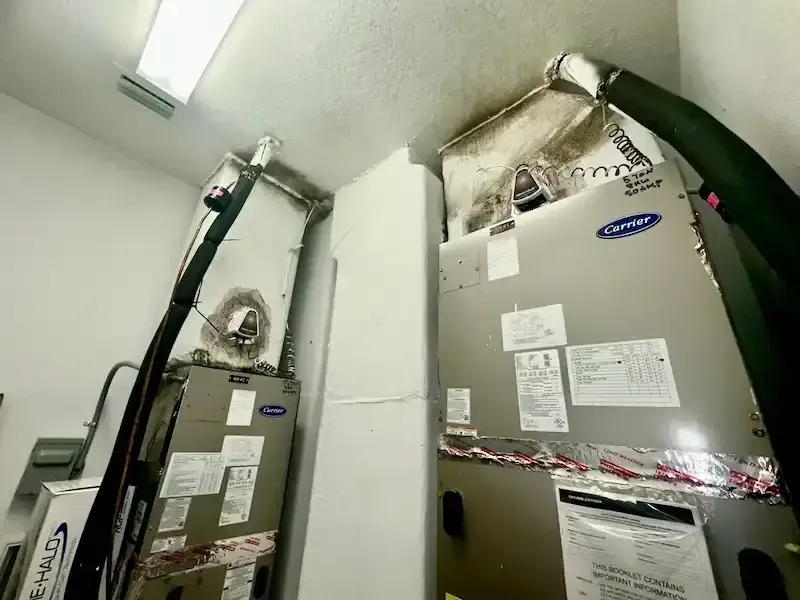 UV Light for mold prevention