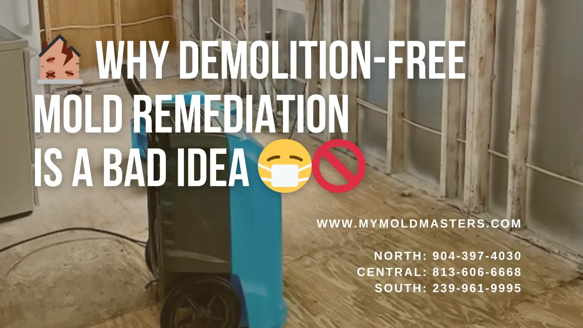 Room undergoing mold remediation with drywall removed, exposing mold-damaged studs and insulation. A large industrial dehumidifier is positioned on the bare plywood floor to dry the space. Kitchen appliances and visible wiring suggest recent water damage in a residential kitchen.
