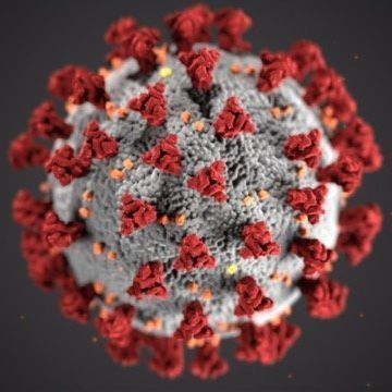 a close up of a virus with red and gray spots on a black background .