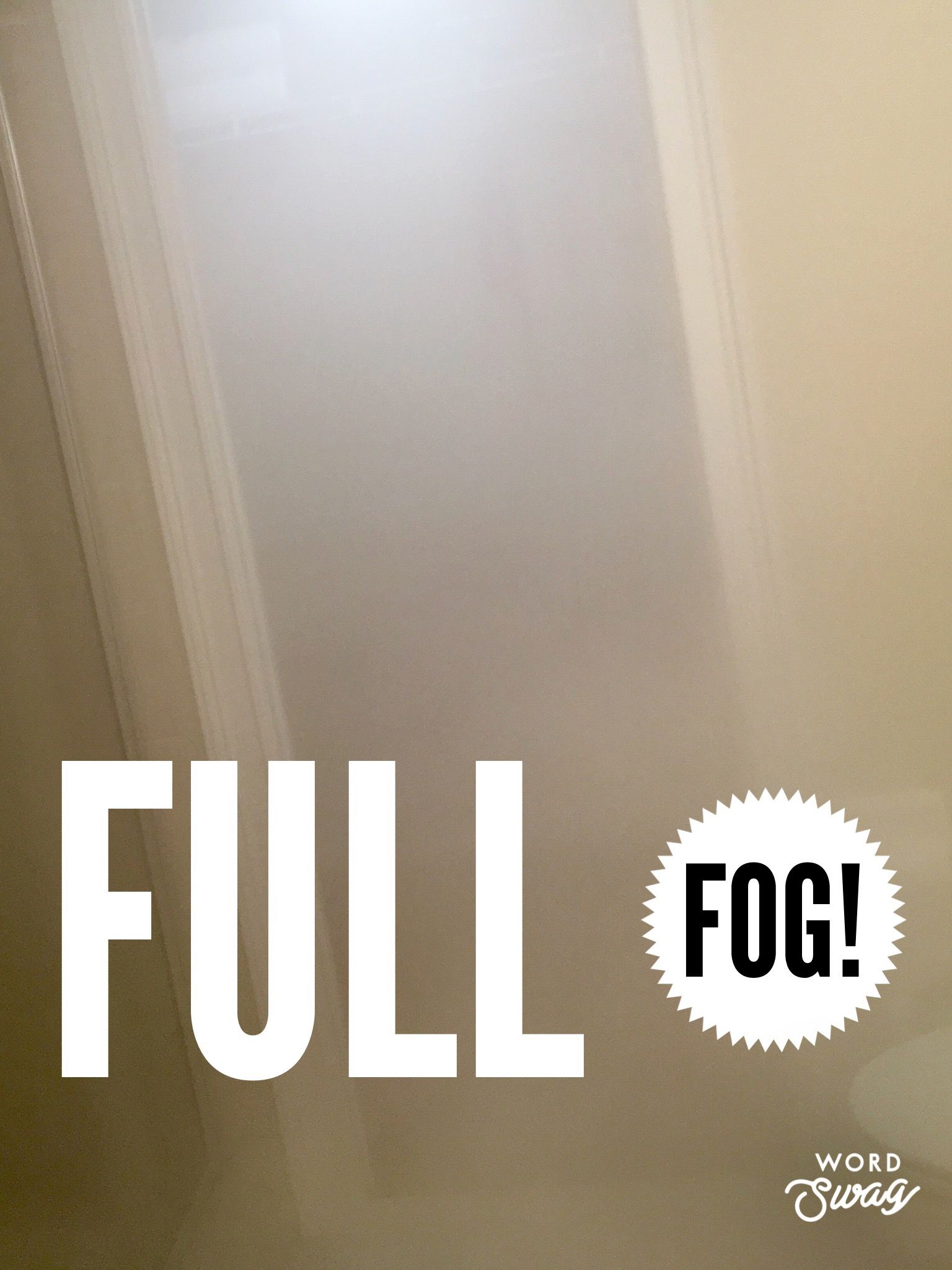 Mold dry fogging
