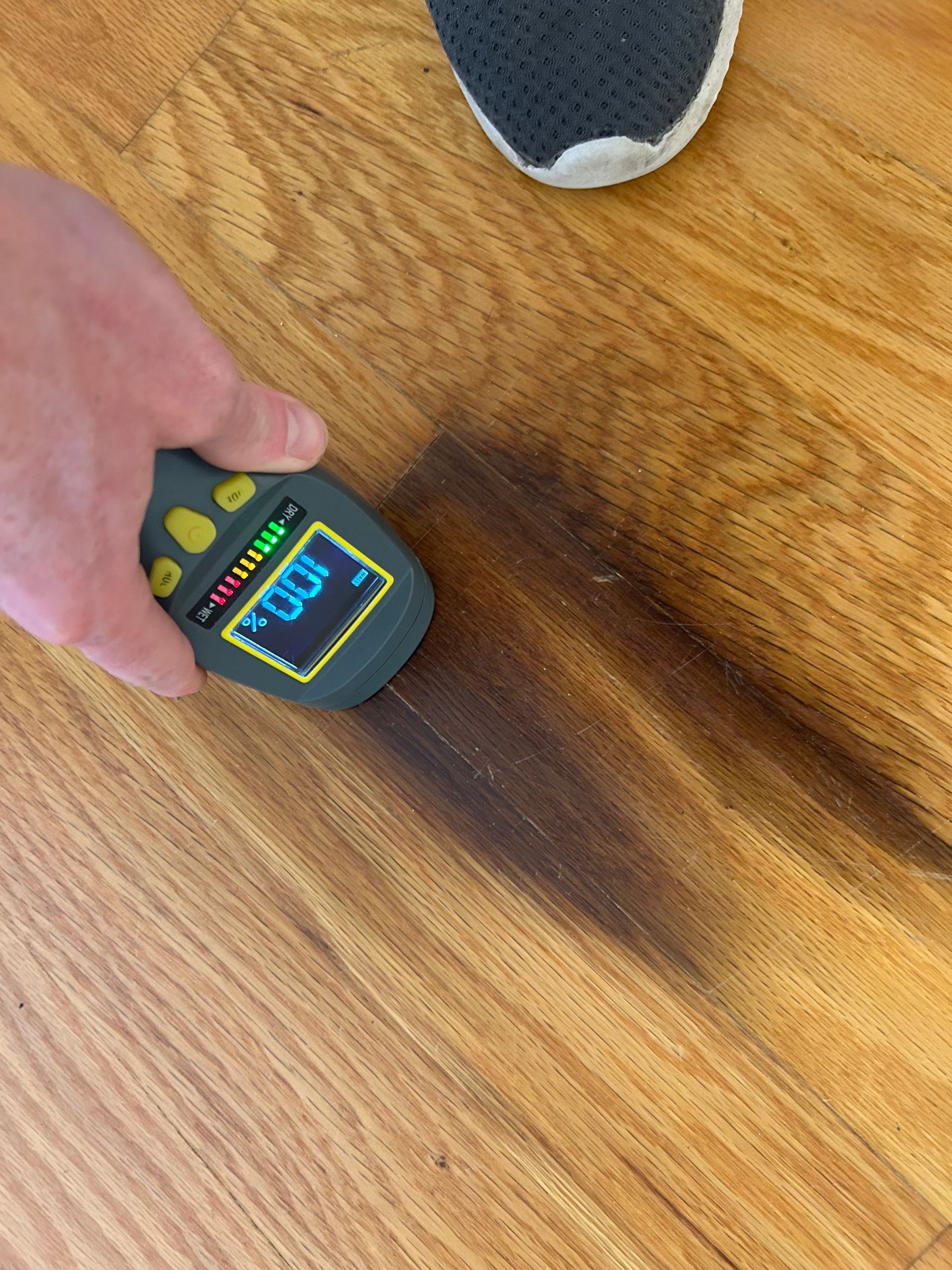 Hand holding a moisture meter over a dark water stain on a wooden floor.