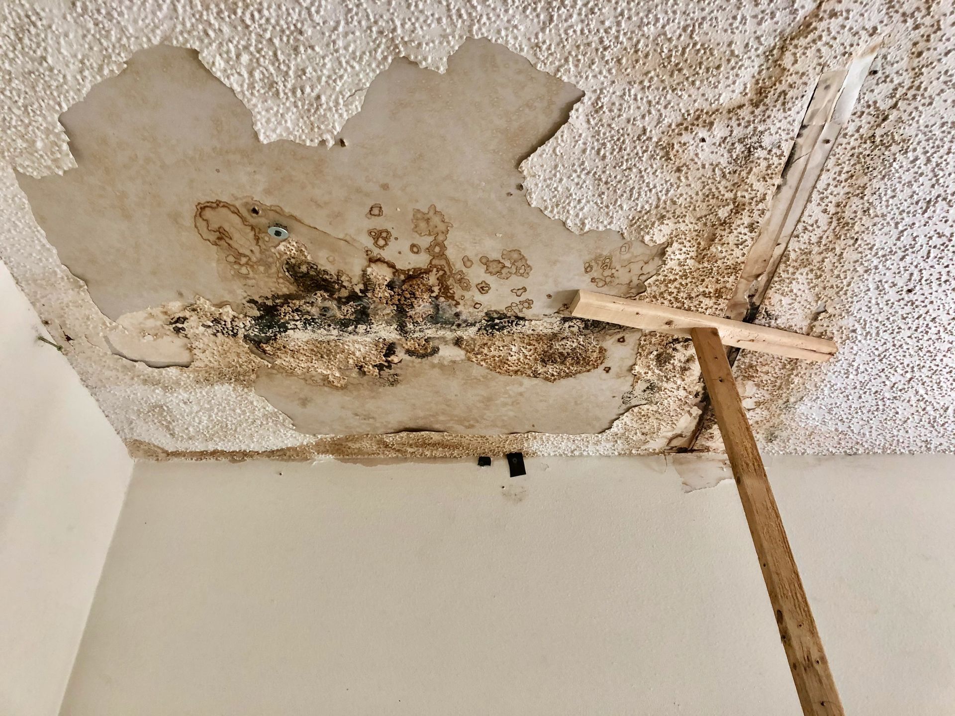 A ceiling with peeling paint and a wooden stick sticking out of it.