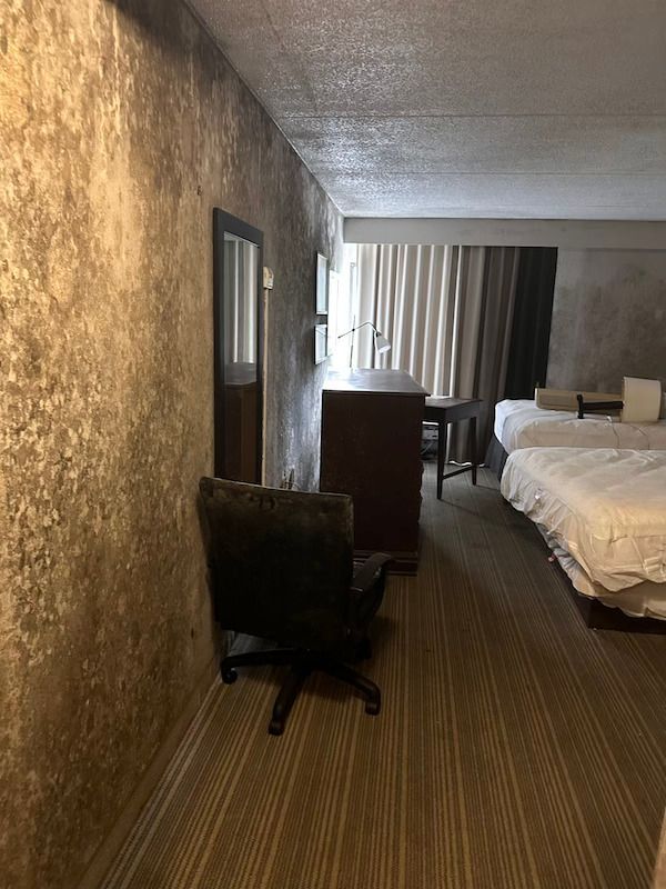 Mold in hotel room