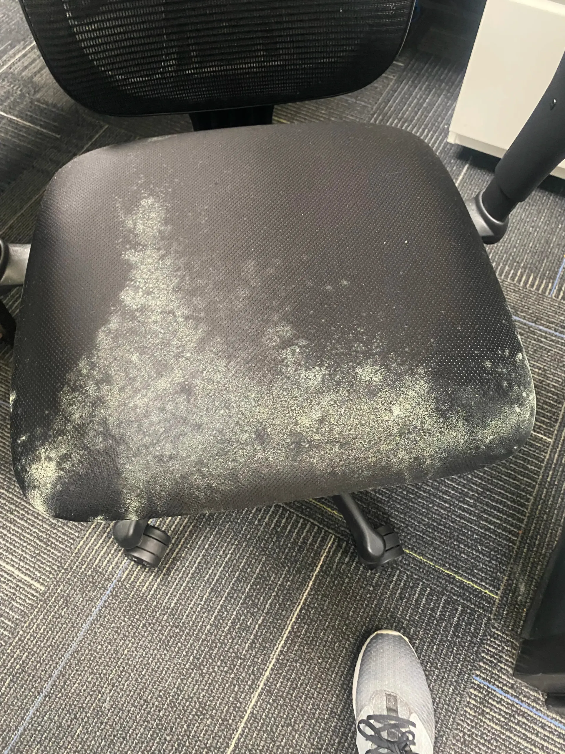 A person is standing next to a moldy office chair