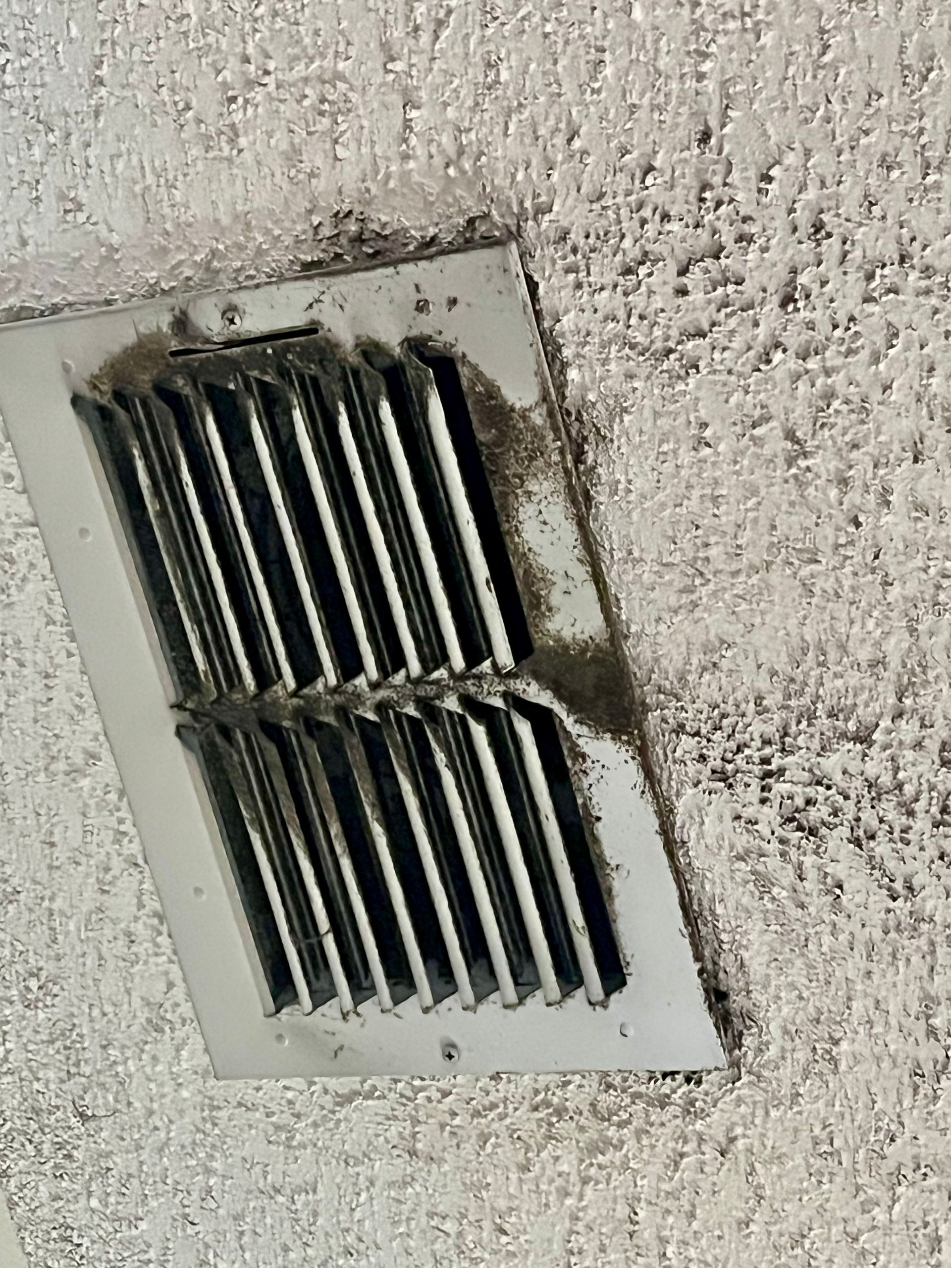 Mold on air vent