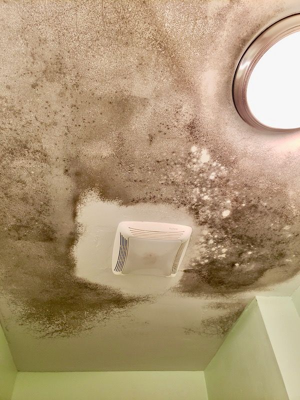 Ceiling mold