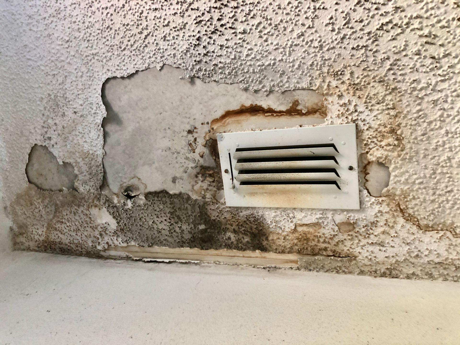 mold around a wall vent