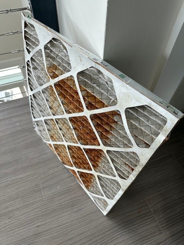 Mold on AC Filter: Eliminate Hidden Health Risks