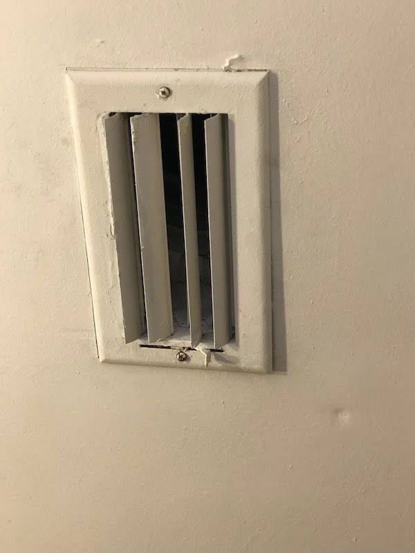 mold on vent after