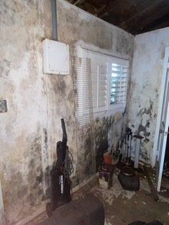 a room with a lot of mold on the walls and a window