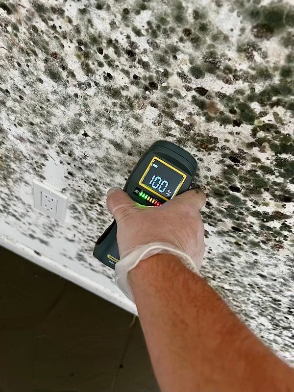 a person is using a mould detector on a ceiling .