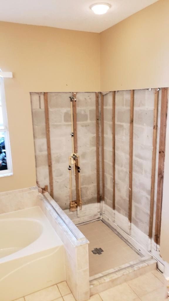 mold remediation bathroom