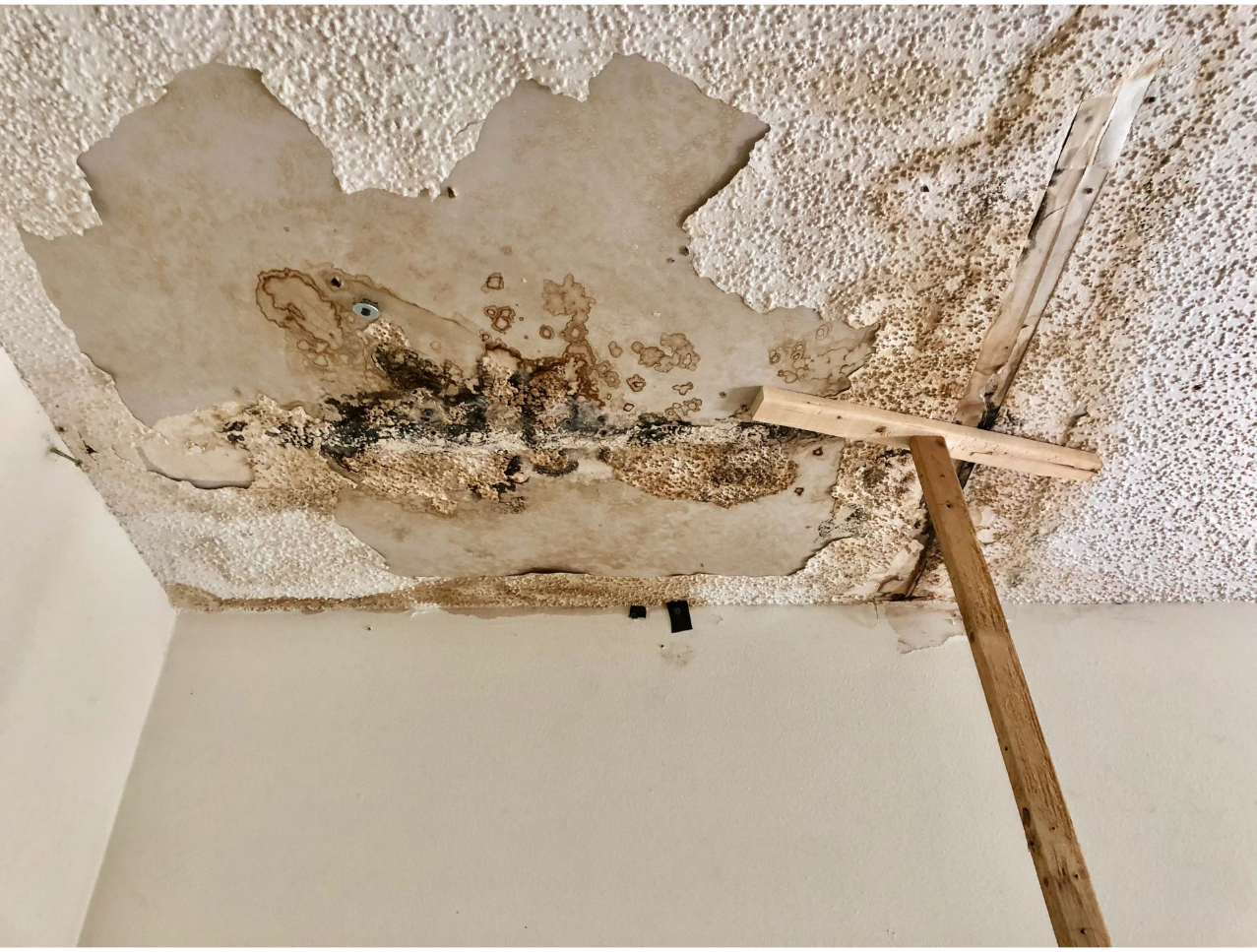 water damage on ceiling caused by a roof leak from a hurricane