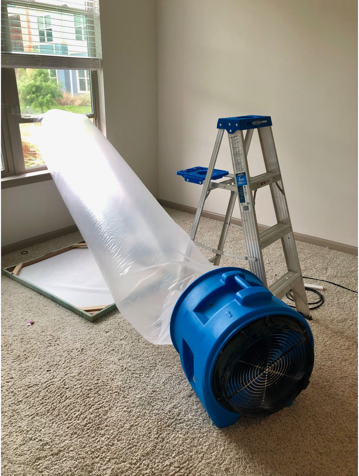 Mold Masters mold remediation