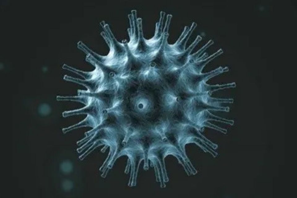 coronavirus