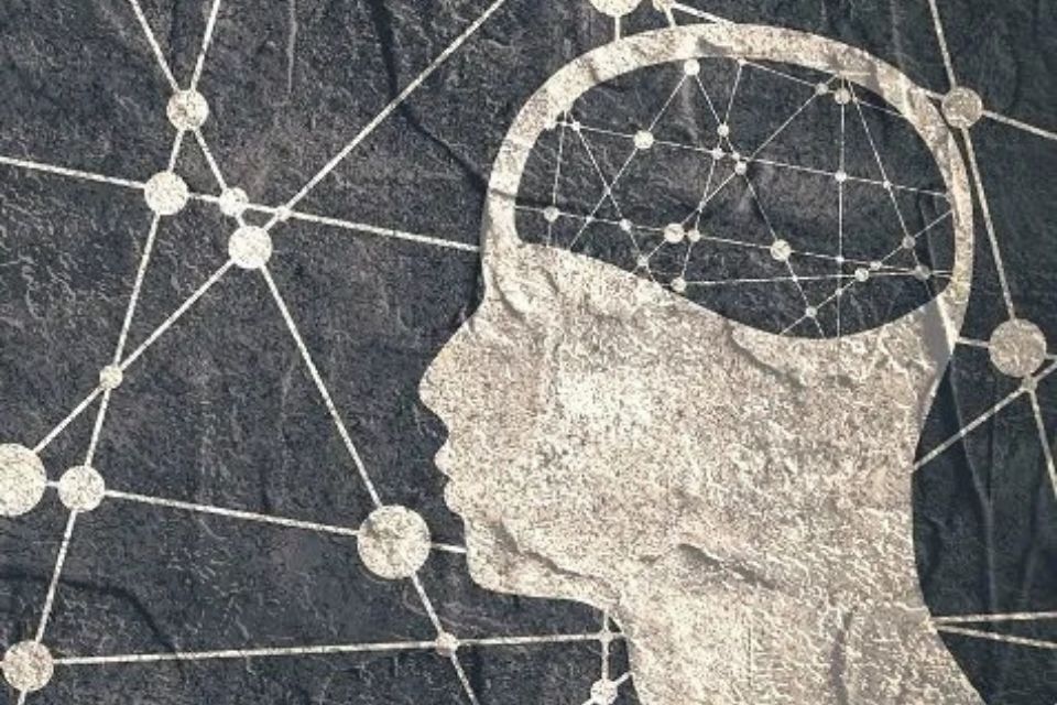 illustrazione sulle aree del cervello