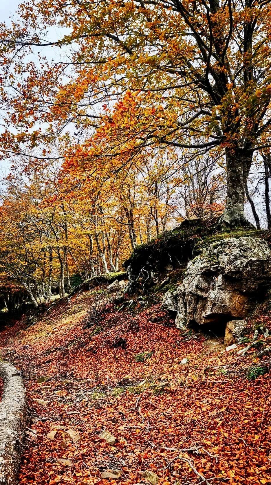 rifugio di montagna